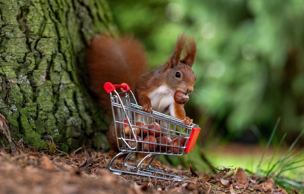 Your customers forgetting their cart